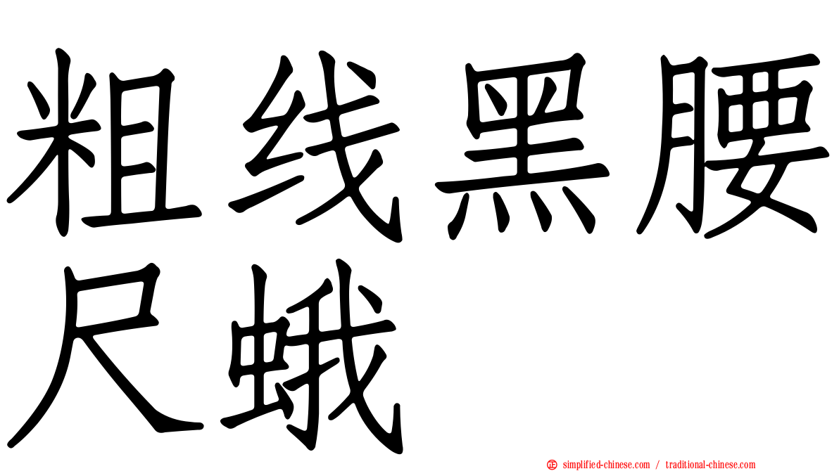 粗线黑腰尺蛾