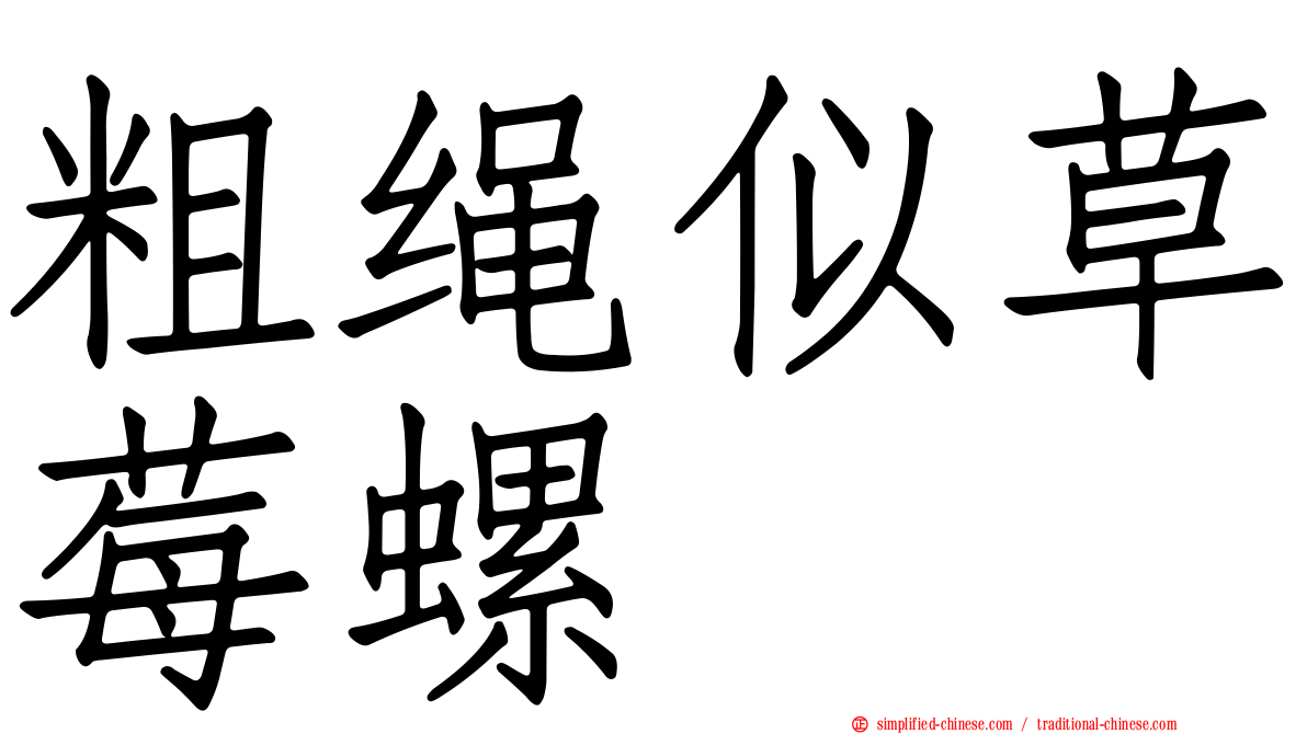 粗绳似草莓螺