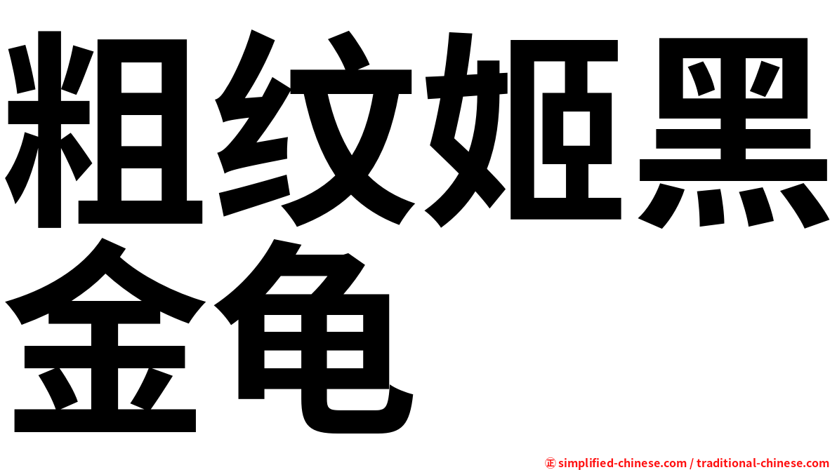 粗纹姬黑金龟