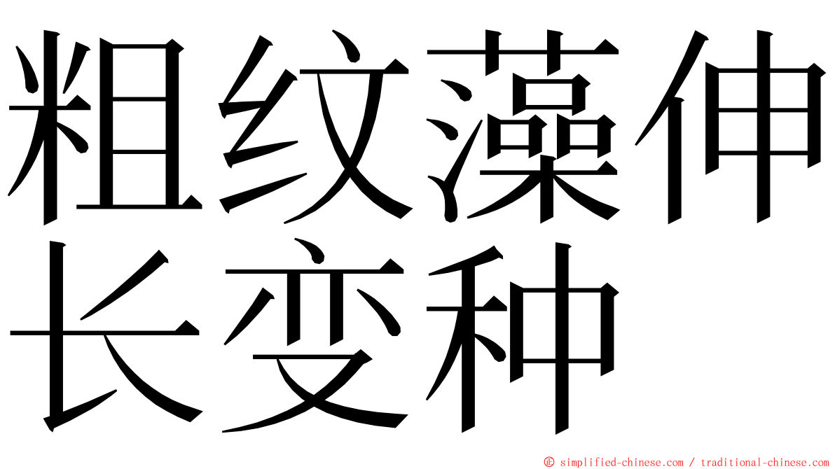 粗纹藻伸长变种 ming font