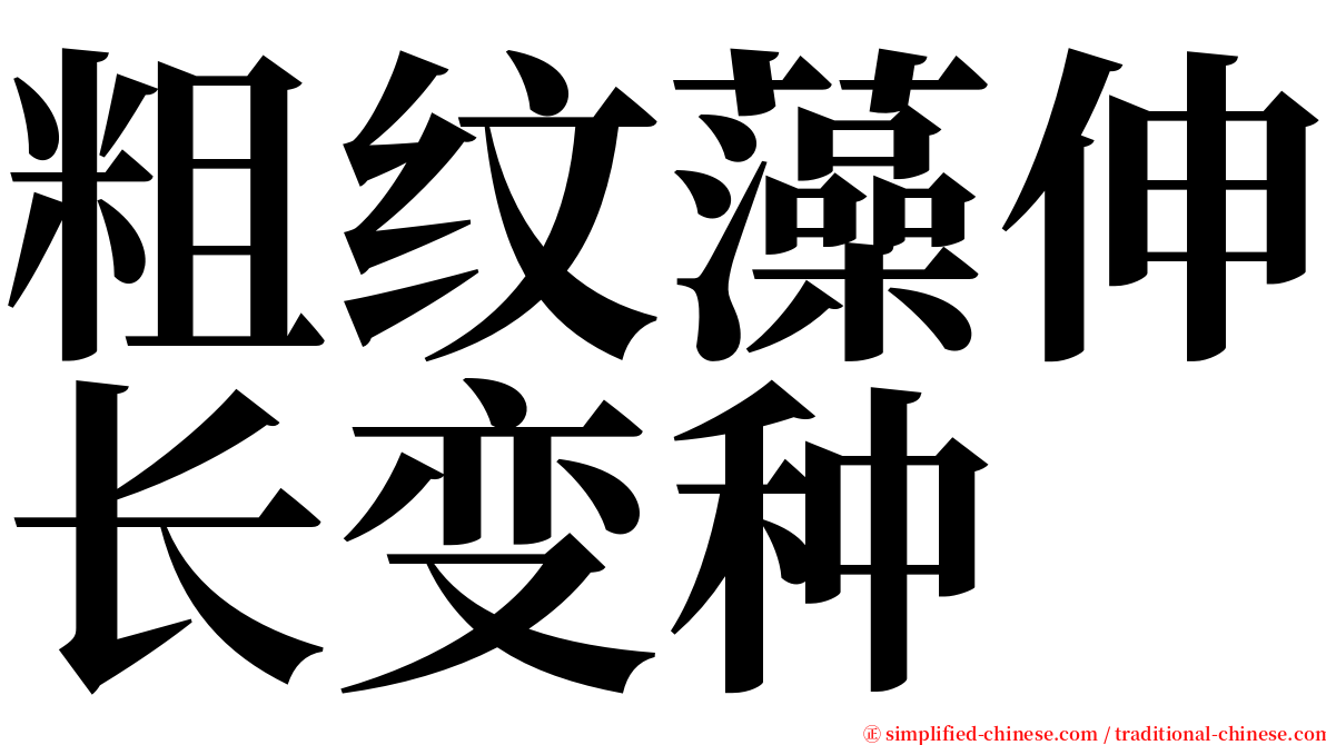 粗纹藻伸长变种 serif font