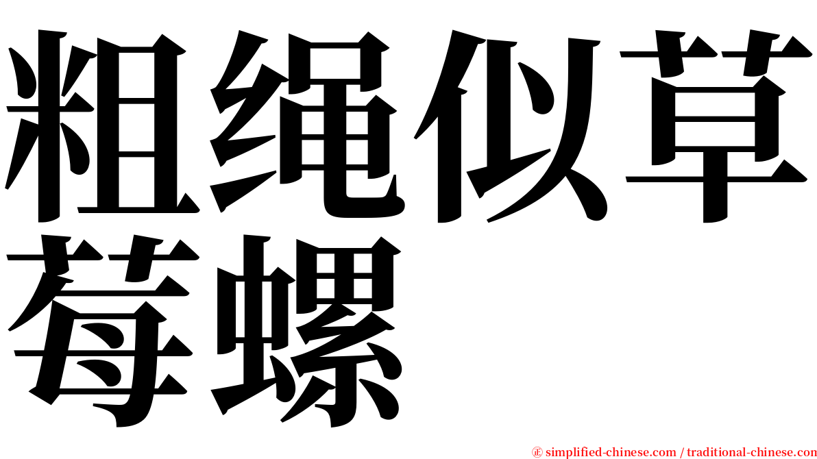 粗绳似草莓螺 serif font