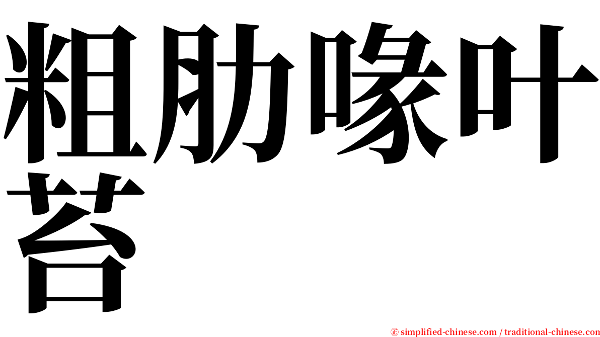 粗肋喙叶苔 serif font