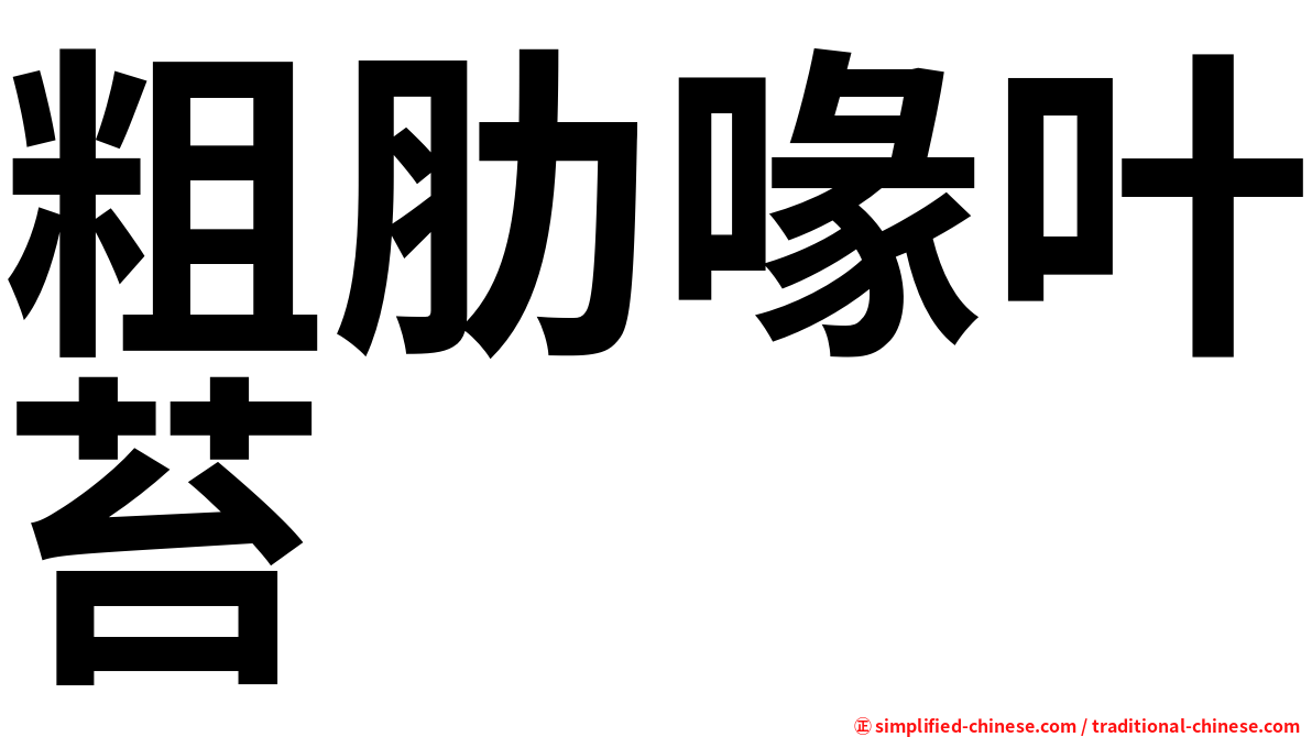 粗肋喙叶苔