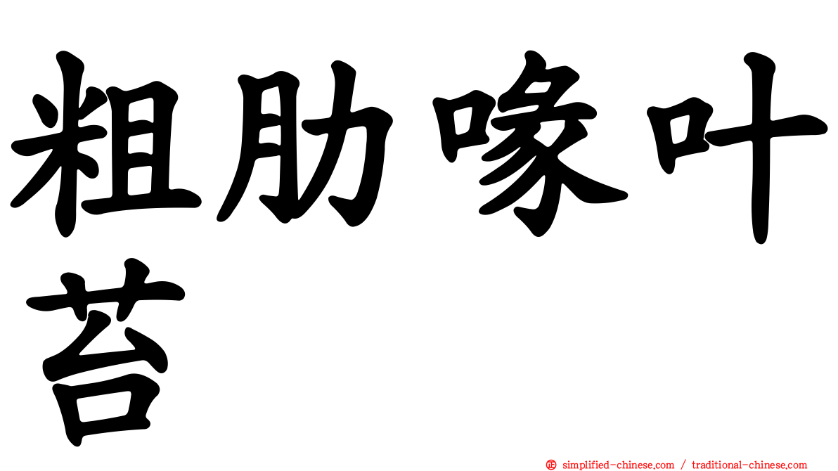粗肋喙叶苔