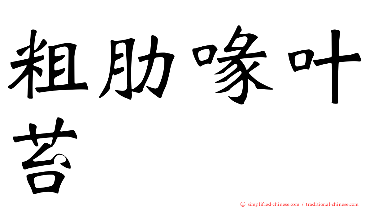 粗肋喙叶苔