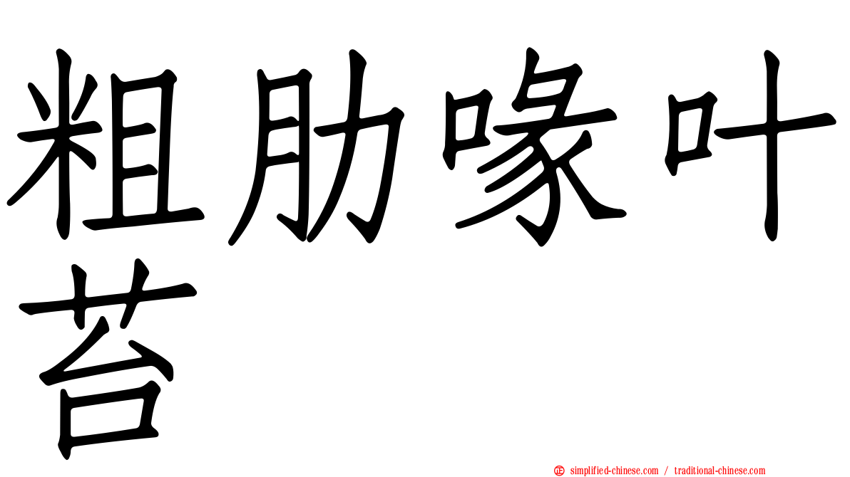 粗肋喙叶苔