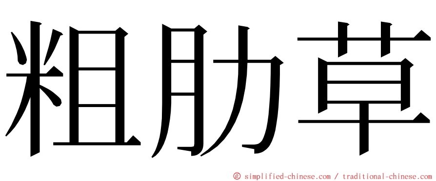 粗肋草 ming font