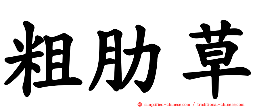 粗肋草