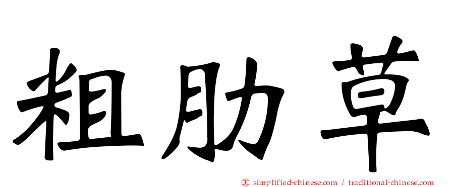 粗肋草