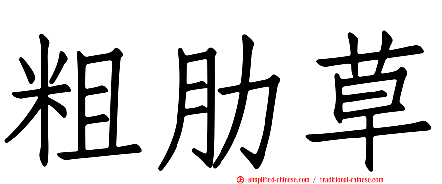 粗肋草