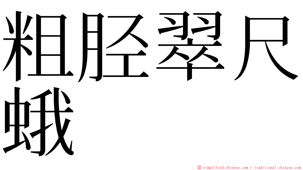 粗胫翠尺蛾 ming font