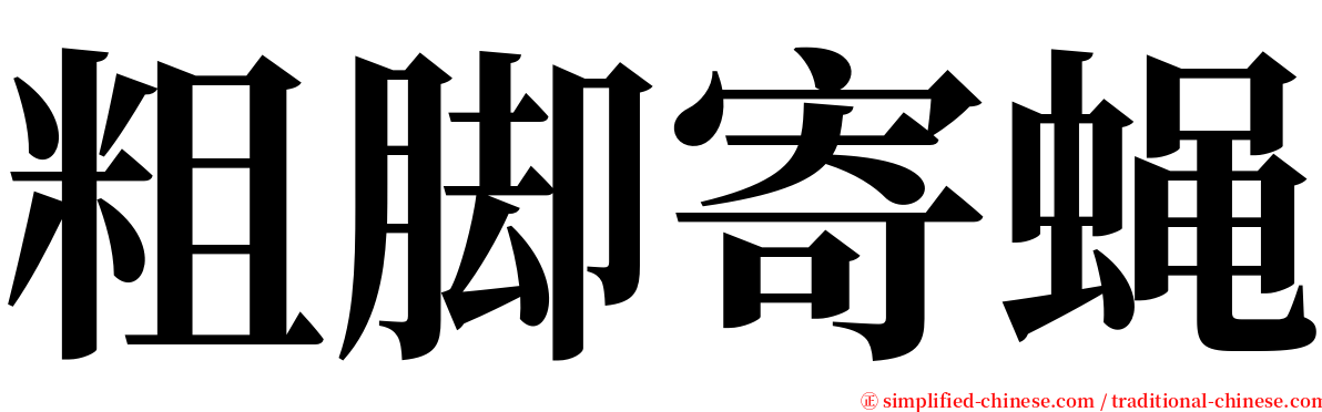 粗脚寄蝇 serif font