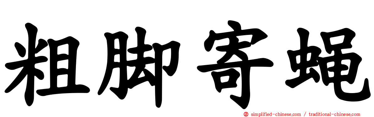 粗脚寄蝇