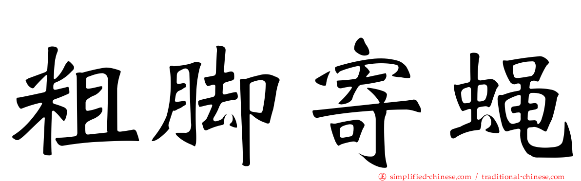 粗脚寄蝇