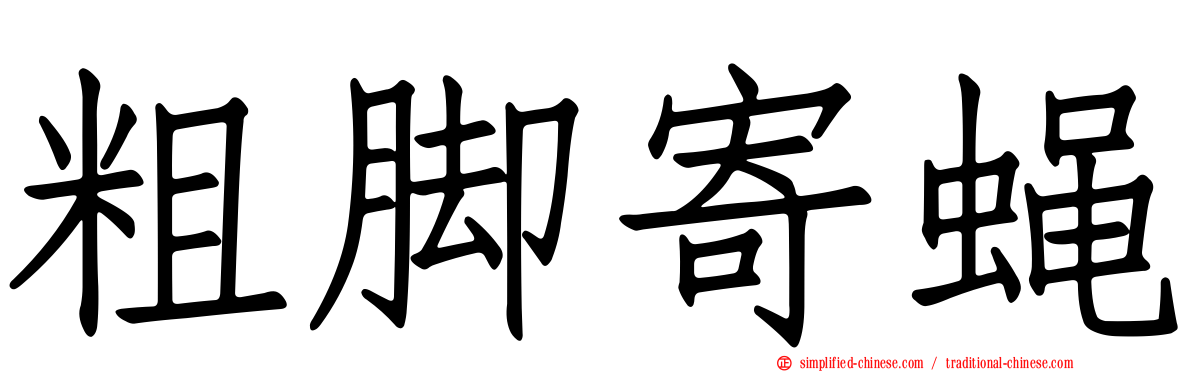 粗脚寄蝇