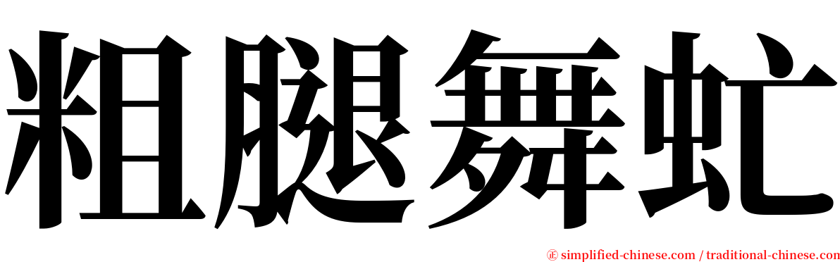 粗腿舞虻 serif font
