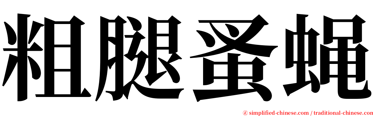 粗腿蚤蝇 serif font