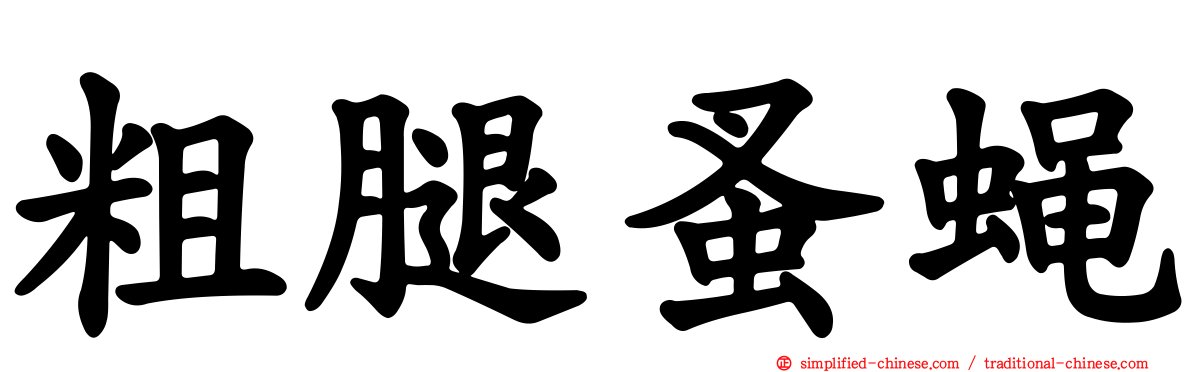 粗腿蚤蝇