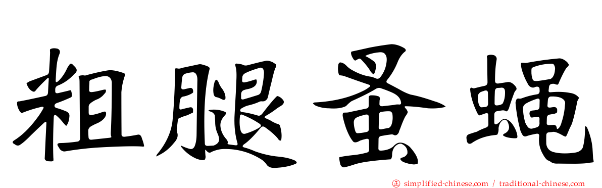 粗腿蚤蝇