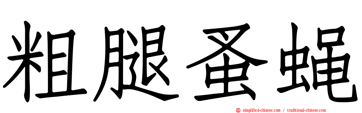 粗腿蚤蝇