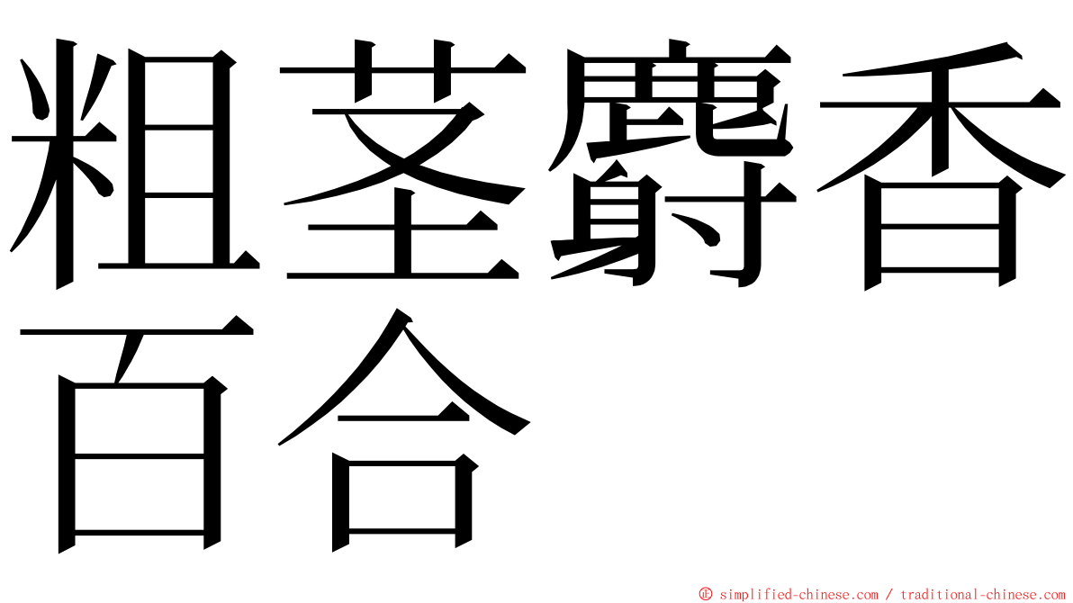 粗茎麝香百合 ming font