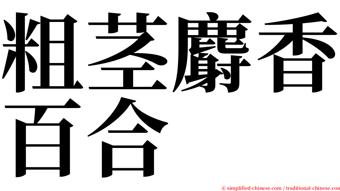 粗茎麝香百合 serif font