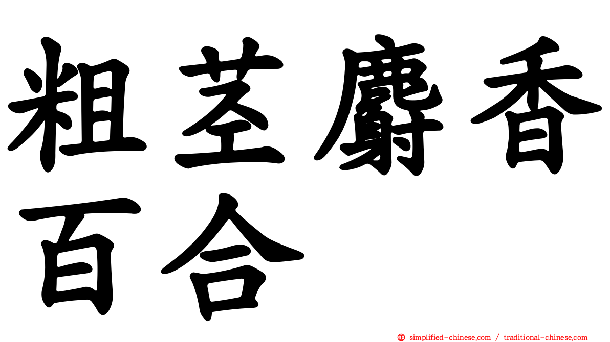 粗茎麝香百合