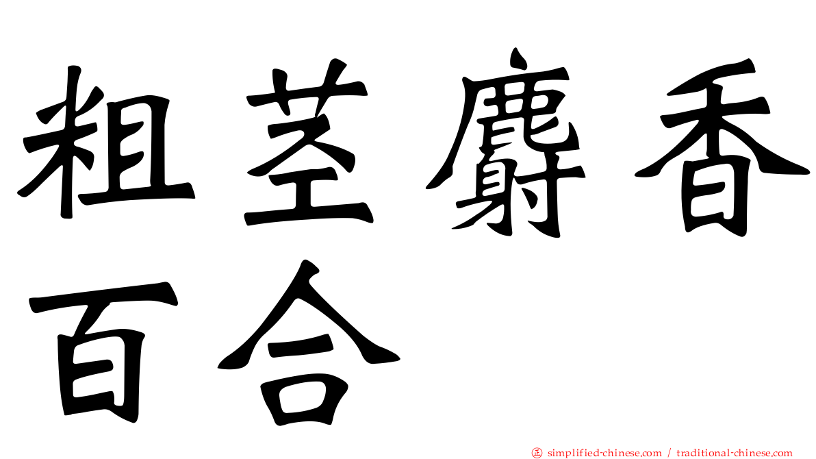 粗茎麝香百合