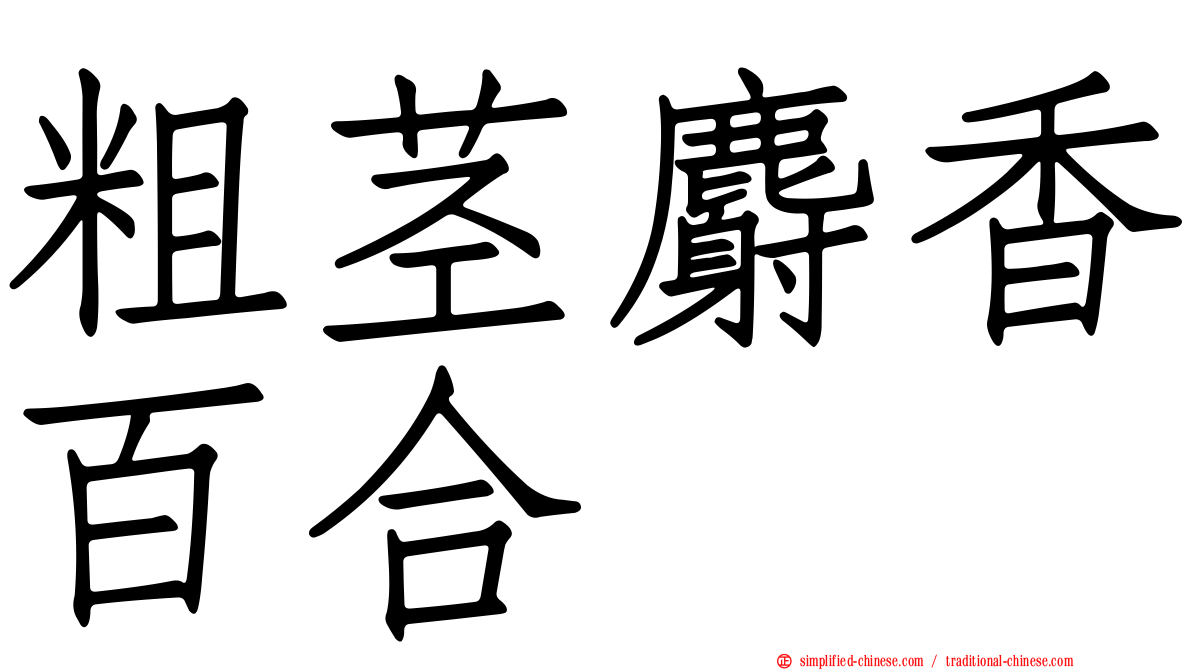 粗茎麝香百合