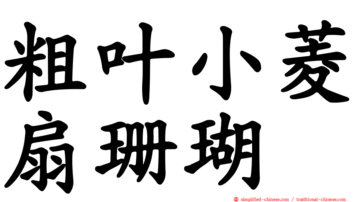 粗叶小菱扇珊瑚