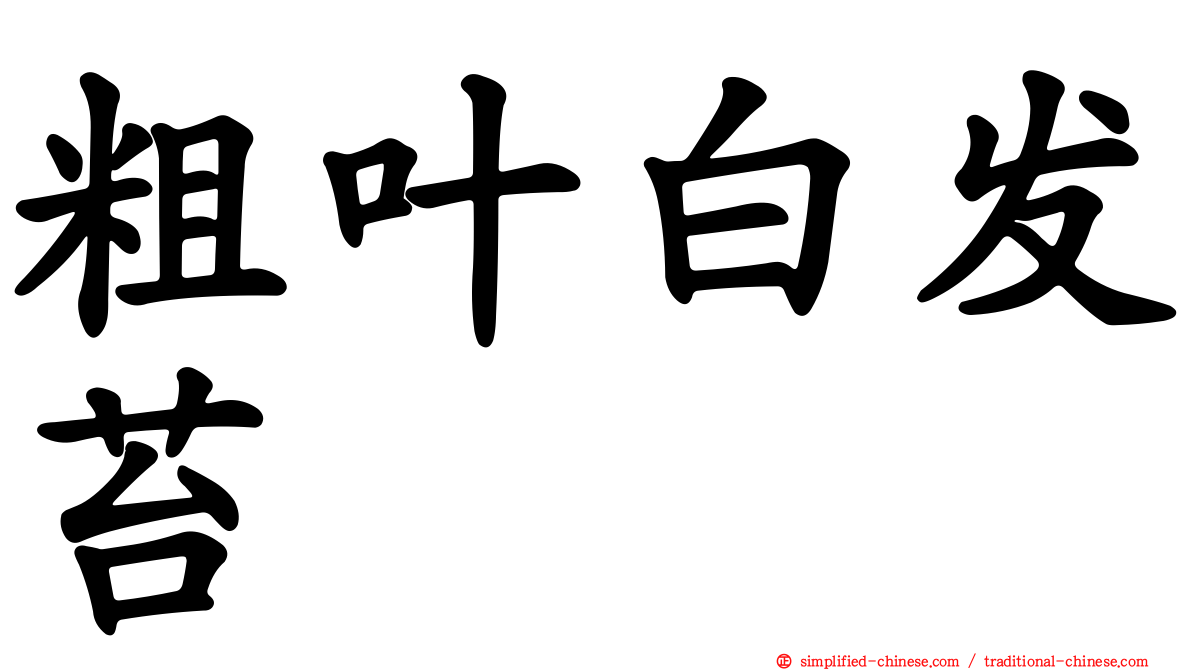 粗叶白发苔