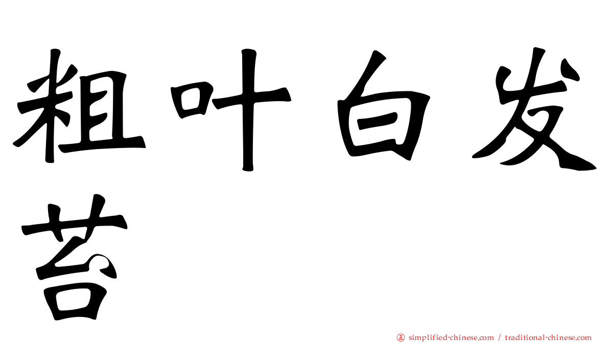 粗叶白发苔