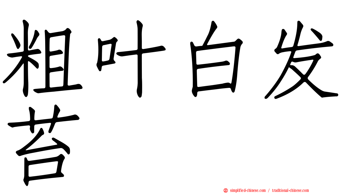 粗叶白发苔