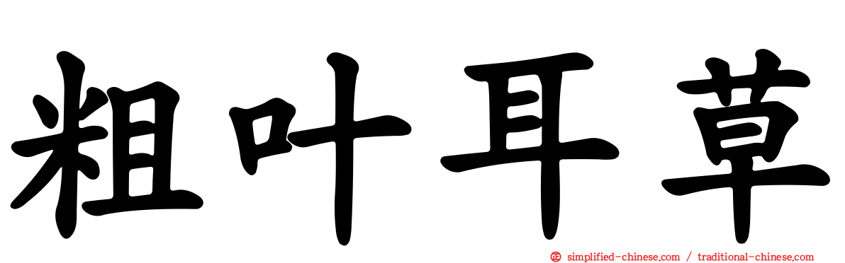 粗叶耳草