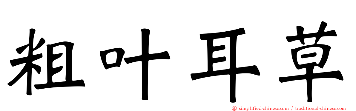 粗叶耳草