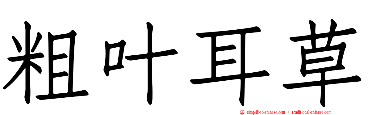 粗叶耳草