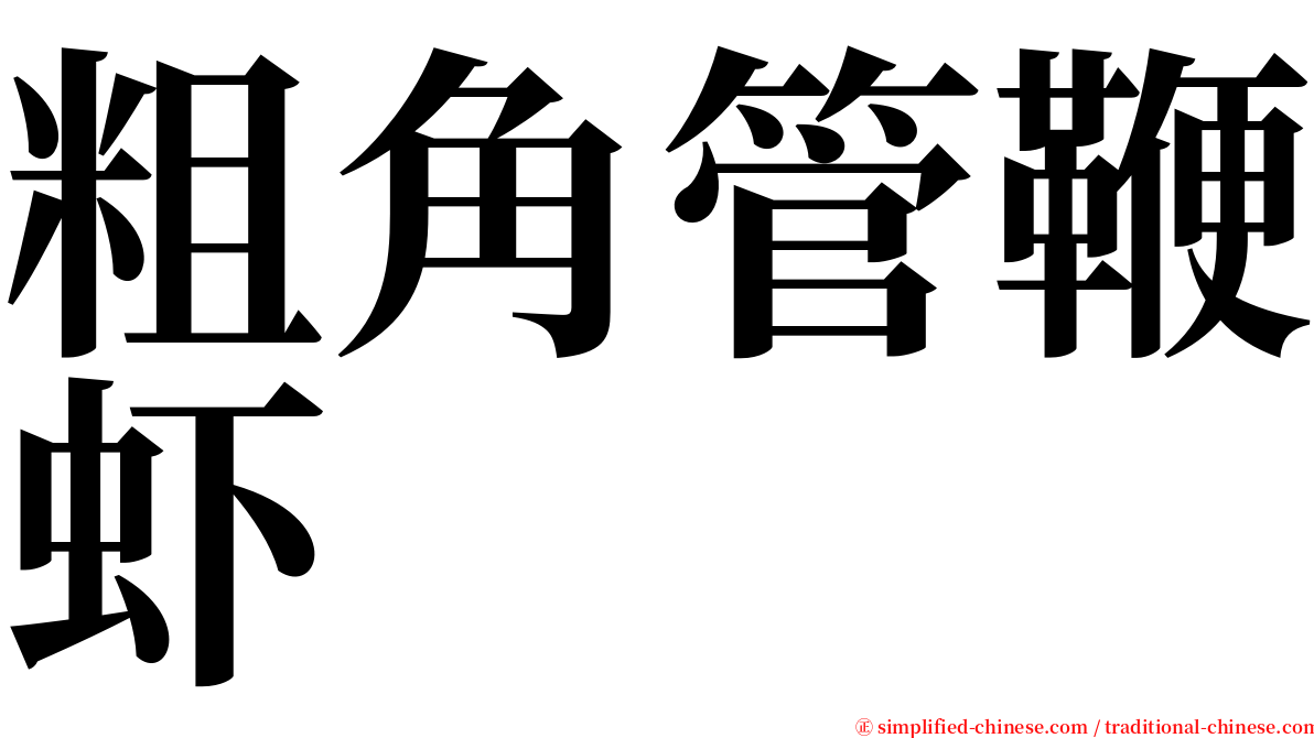 粗角管鞭虾 serif font