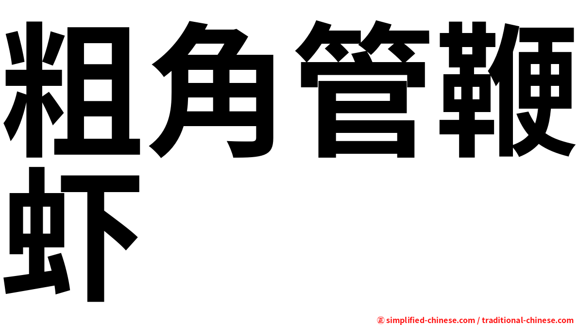 粗角管鞭虾