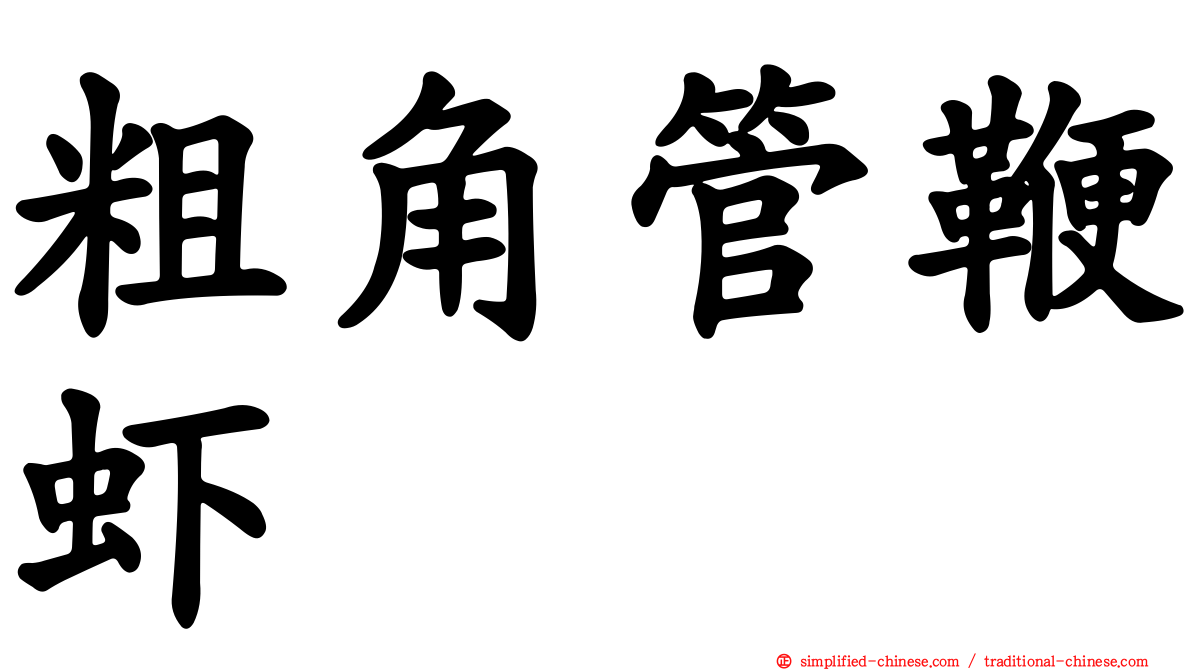 粗角管鞭虾