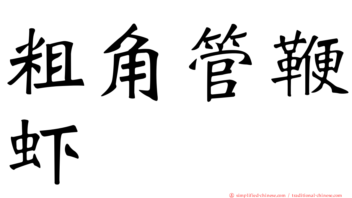 粗角管鞭虾