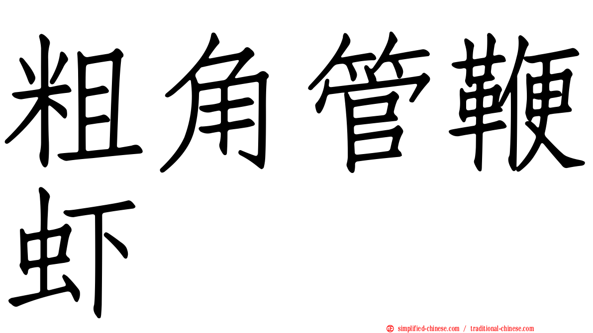 粗角管鞭虾