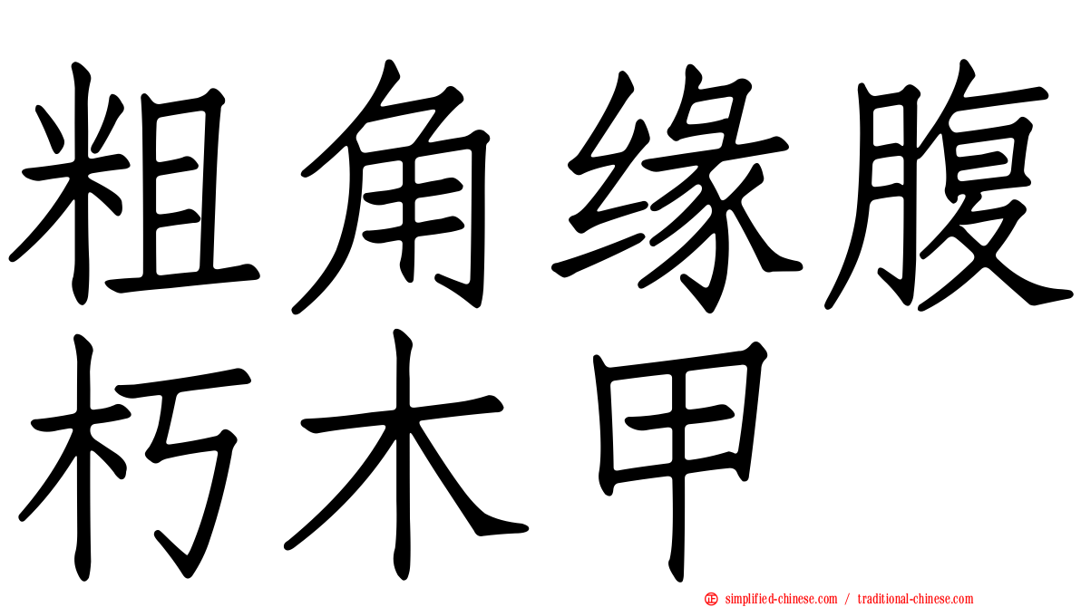 粗角缘腹朽木甲