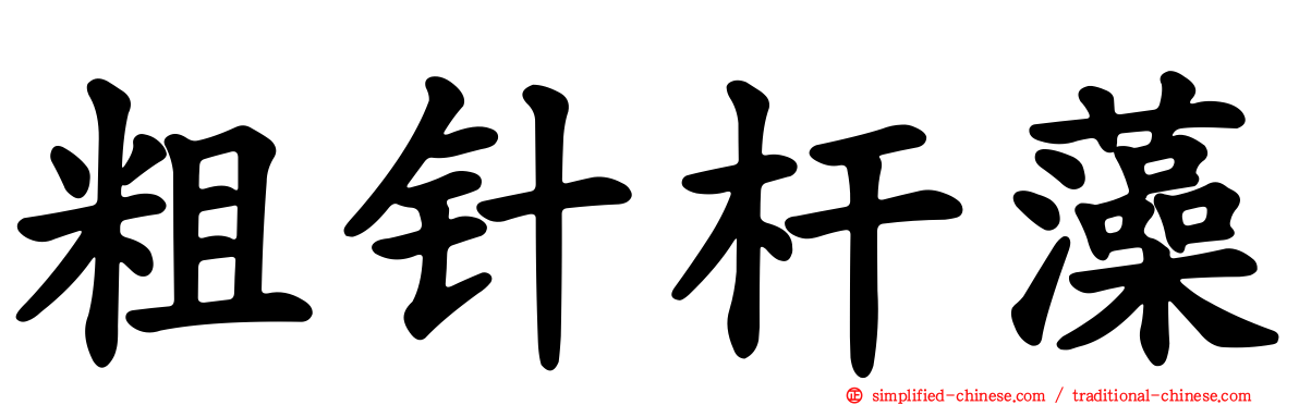 粗针杆藻