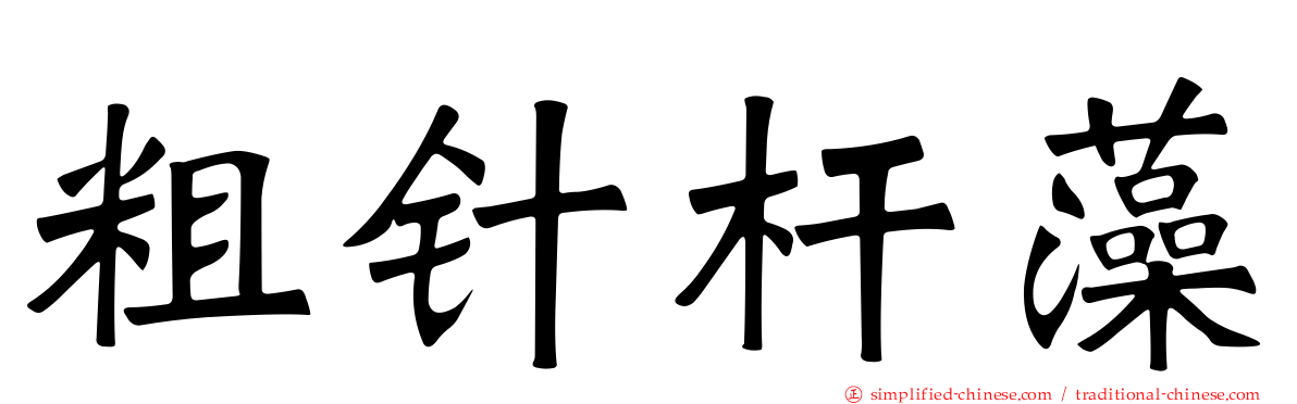 粗针杆藻