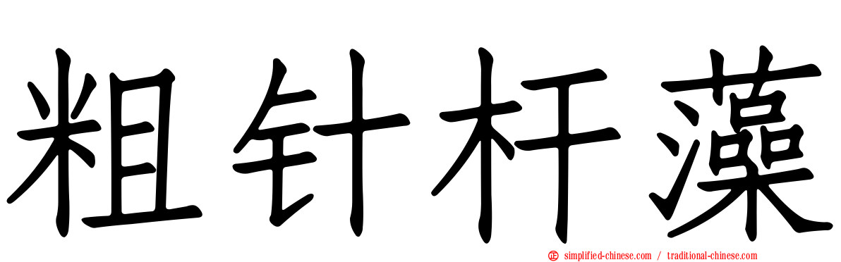 粗针杆藻