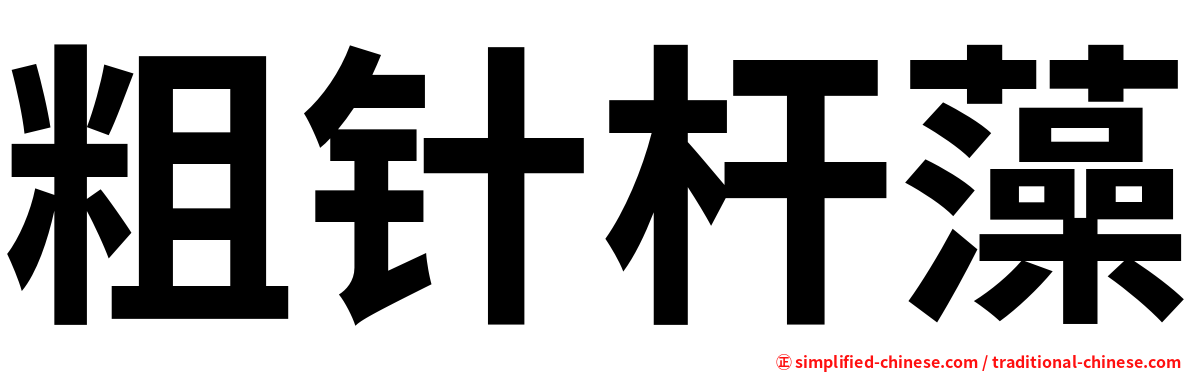 粗针杆藻