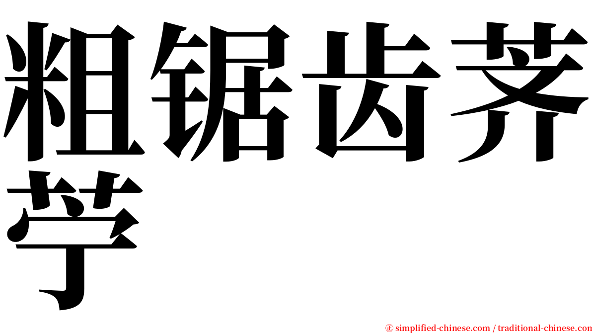 粗锯齿荠苧 serif font