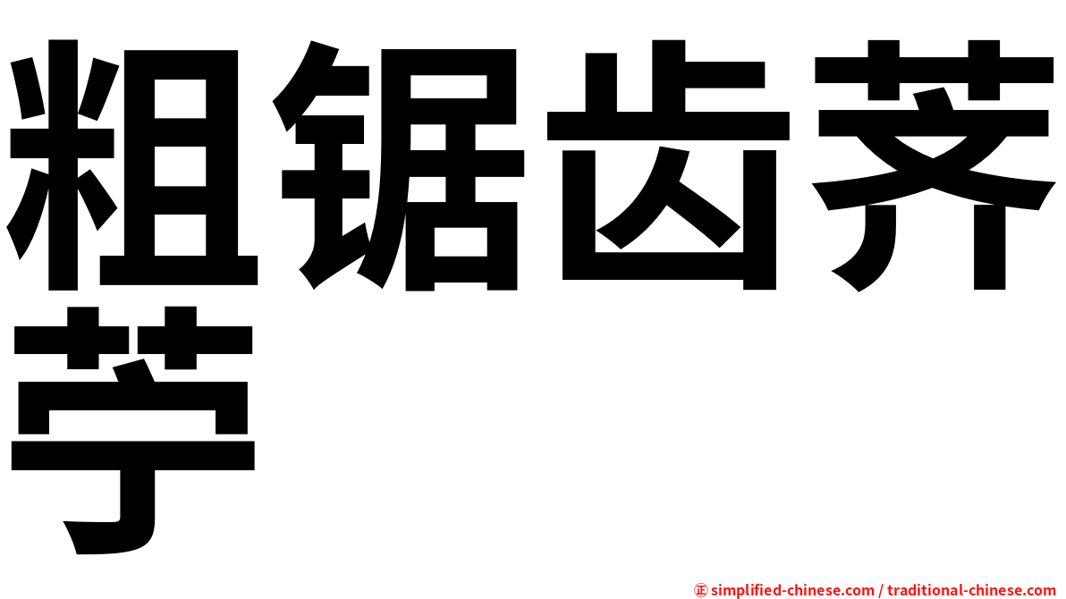 粗锯齿荠苧
