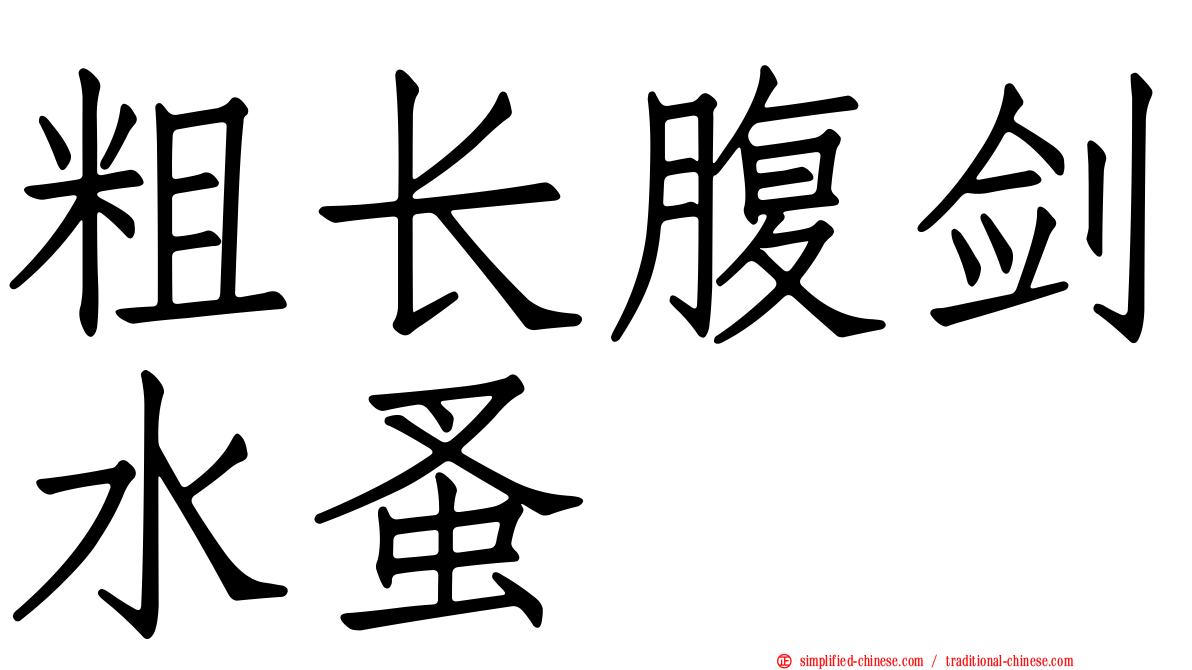 粗长腹剑水蚤